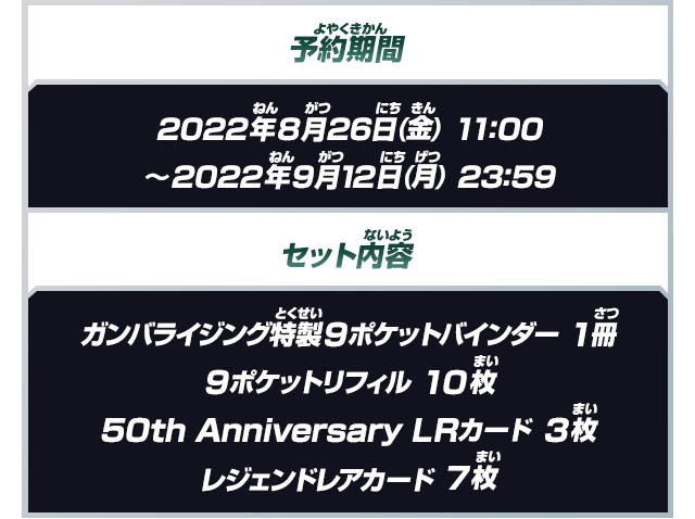 仮面ライダーバトル ガンバライジング 9ポケットバインダーセット 10th