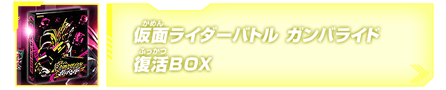 仮面ライダーバトル ガンバライド 復活BOX