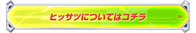 ヒッサツについてはコチラ