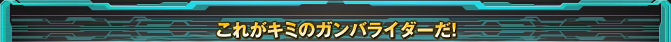 これがキミのガンバライダーだ！